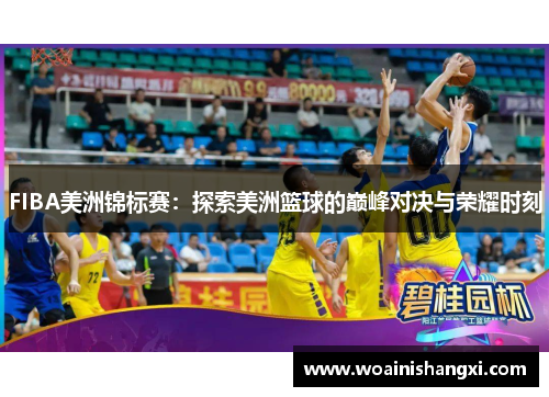 FIBA美洲锦标赛：探索美洲篮球的巅峰对决与荣耀时刻