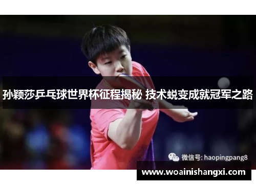 孙颖莎乒乓球世界杯征程揭秘 技术蜕变成就冠军之路