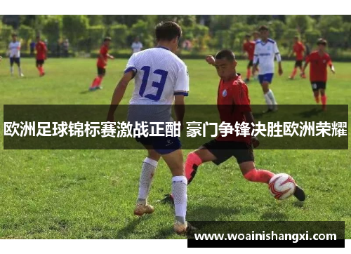 欧洲足球锦标赛激战正酣 豪门争锋决胜欧洲荣耀