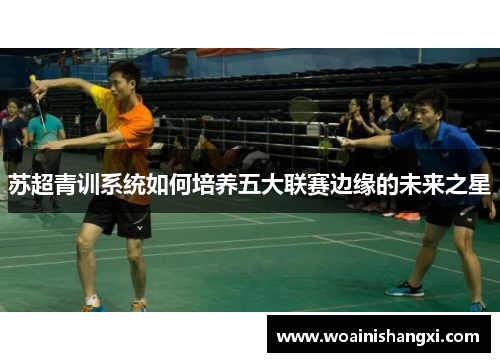 苏超青训系统如何培养五大联赛边缘的未来之星