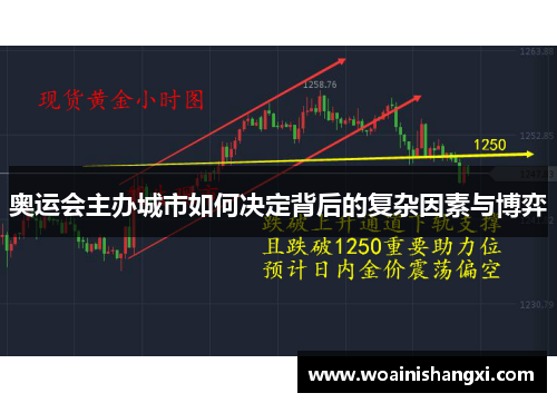 奥运会主办城市如何决定背后的复杂因素与博弈